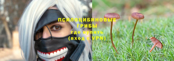 ПСИЛОЦИБИНОВЫЕ ГРИБЫ Алзамай