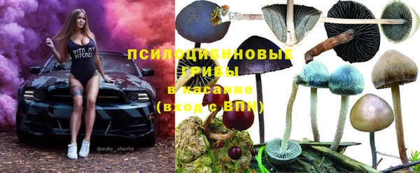 ПСИЛОЦИБИНОВЫЕ ГРИБЫ Алексин