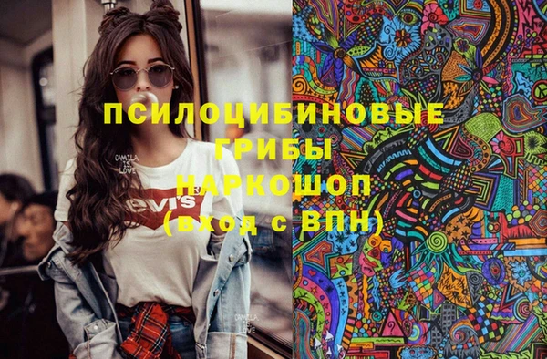 ПСИЛОЦИБИНОВЫЕ ГРИБЫ Алзамай