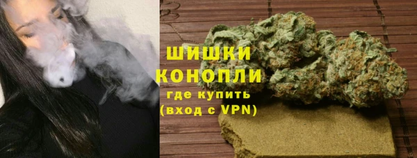 ПСИЛОЦИБИНОВЫЕ ГРИБЫ Алзамай