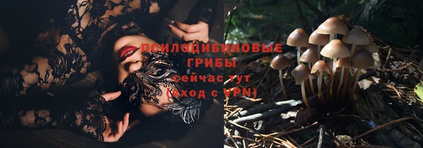 ПСИЛОЦИБИНОВЫЕ ГРИБЫ Алзамай