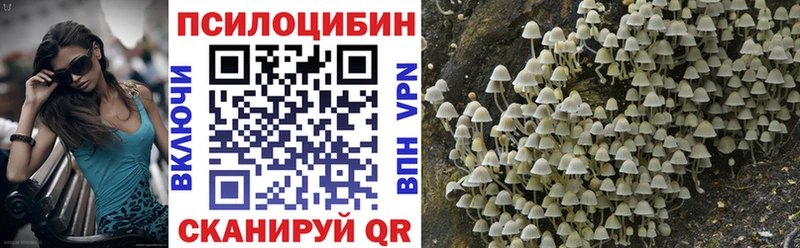 Галлюциногенные грибы GOLDEN TEACHER Димитровград