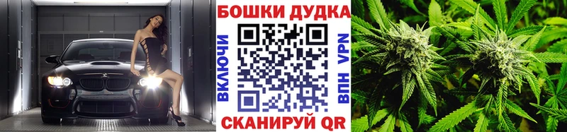 Конопля семена Димитровград